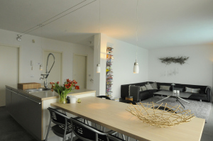 Open kitchen and living room